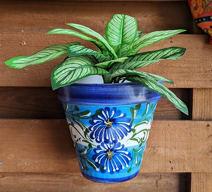 Florida Wall Planter 5.5"-   GCFML05